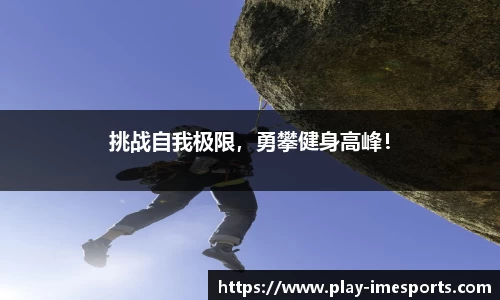 IM电竞官方网站