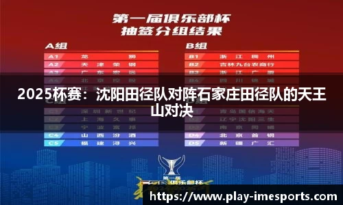 IM电竞官方网站