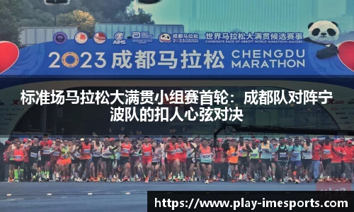 IM电竞官方网站