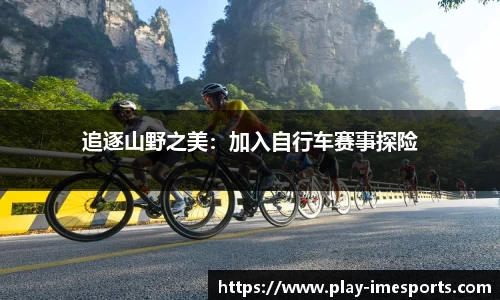 IM电竞官网