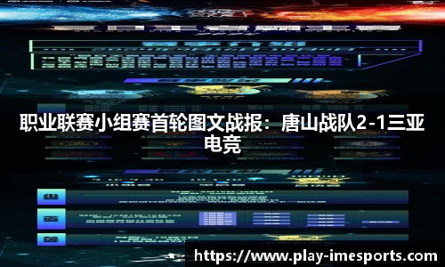 IM电竞官方正版网站