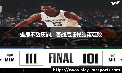IM电竞官方网站