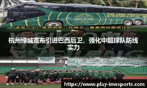 IM电竞官方正版网站