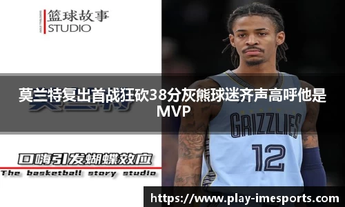 IM电竞官方网站