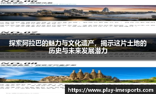 IM电竞官网