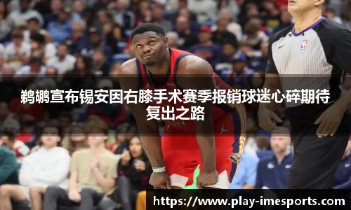 IM电竞官网
